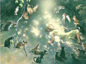 image2.cats of tanglewood forest