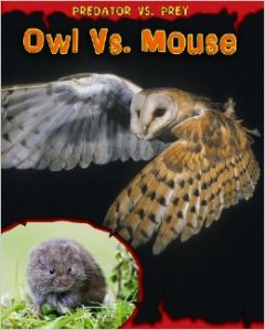 owl vs. mouse