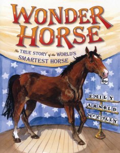 wonder horse