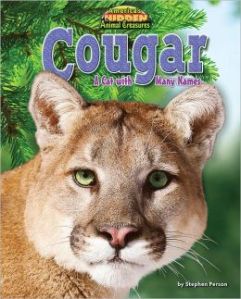 Cougar a cat with many names